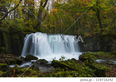 紅葉の奥入瀬渓谷 119718242