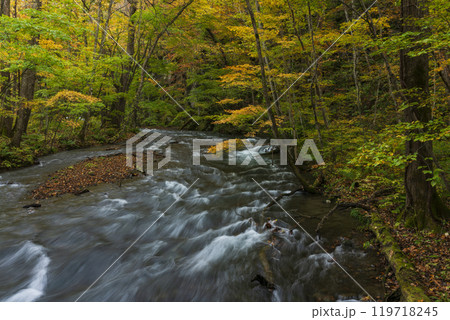 紅葉の奥入瀬渓谷 紅葉の奥入瀬渓谷 119718245
