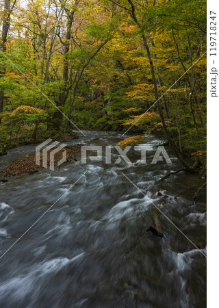 紅葉の奥入瀬渓谷 紅葉の奥入瀬渓谷 119718247