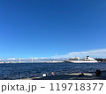 臨海パークから見たレインボーブリッジ 119718377