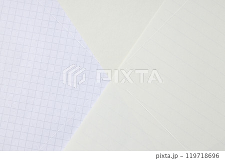 Torn sheets from notebooks on a light background Torn sheets from notebooks on a light background 119718696