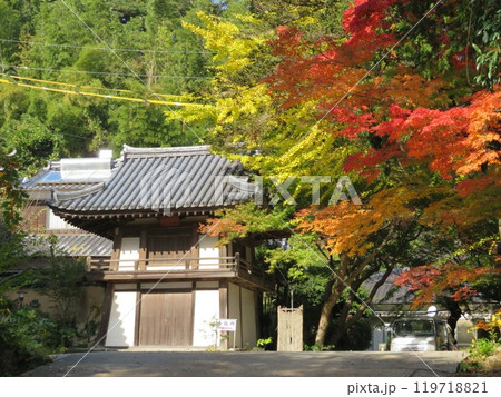 大銀杏と紅葉　山口県覚苑寺 119718821