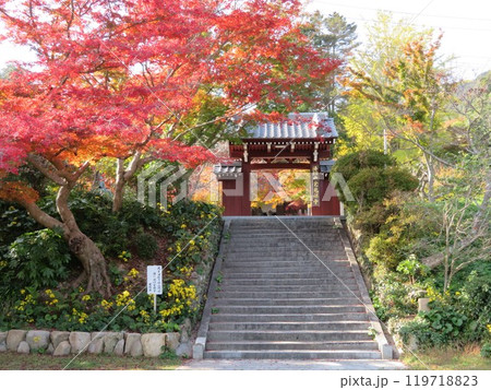 紅葉と山門 山口県覚苑寺 紅葉と山門 山口県覚苑寺 119718823