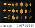 紅葉した葉の裏面 119719310