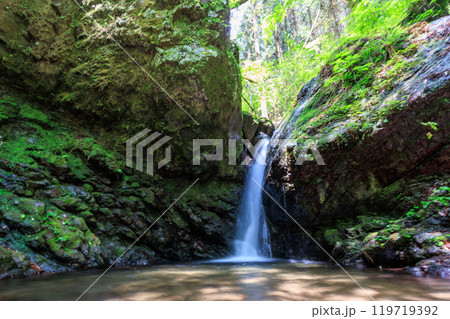 苔むした岩と新緑の崖から落ちる美しい小さな滝 東京都あきる野市、日の出山登山道他 2024年6月撮影 119719392