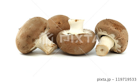 Close-up view of fresh baby bella mushrooms on a white background highlighting their organic texture 119719533