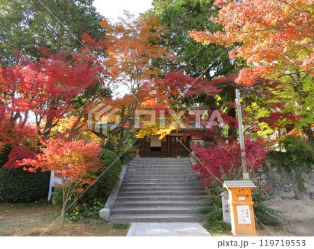 紅葉の寺 山口県覚苑寺 紅葉の寺 山口県覚苑寺 119719553