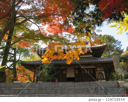 本堂を彩る紅葉 山口県覚苑寺 本堂を彩る紅葉 山口県覚苑寺 119719554