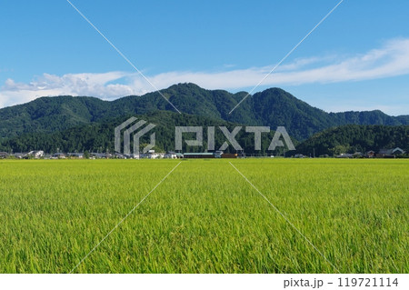 福井市南部の田園地帯から望む文殊山 119721114