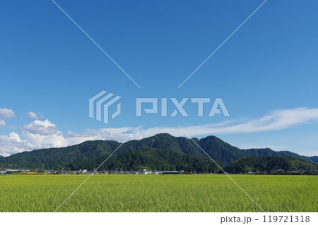 福井市南部の田園地帯から望む文殊山 福井市南部の田園地帯から望む文殊山 119721318