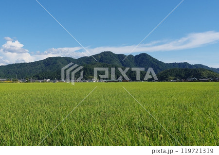 福井市南部の田園地帯から望む文殊山 119721319