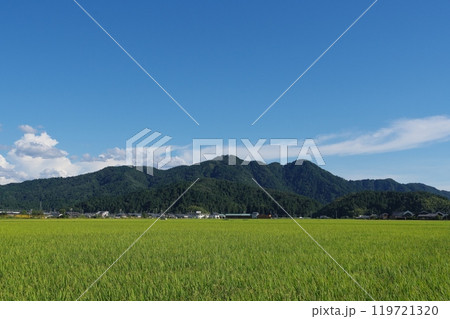 福井市南部の田園地帯から望む文殊山 119721320