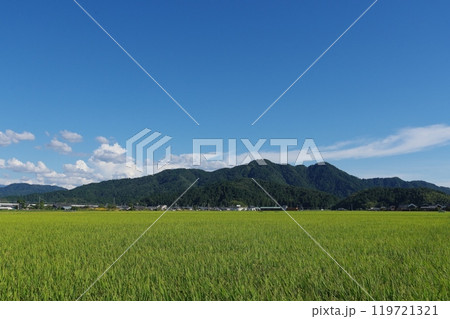 福井市南部の田園地帯から望む文殊山 福井市南部の田園地帯から望む文殊山 119721321