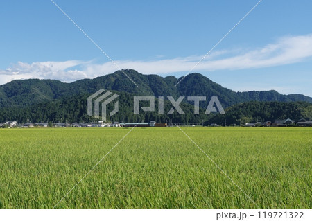 福井市南部の田園地帯から望む文殊山 119721322