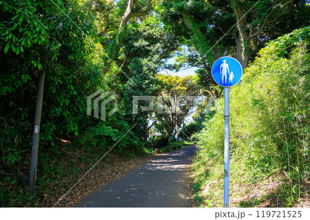 荒井浜へと続く美しい林の中の小道。 油壷湾は古くからの景勝地。戦国時代の悲しい戦争の歴史もある。 119721525