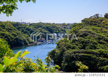 荒井浜へと続く美しい林の中の小道。 油壷湾は古くからの景勝地。戦国時代の悲しい戦争の歴史もある。 119721531