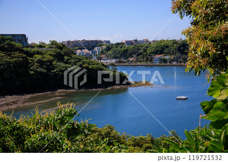 荒井浜へと続く美しい林の中の小道。 油壷湾は古くからの景勝地。戦国時代の悲しい戦争の歴史もある。 119721532