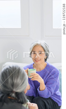 部屋で会話するシニア女性 119722188