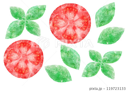 トマトとバジル 119723133