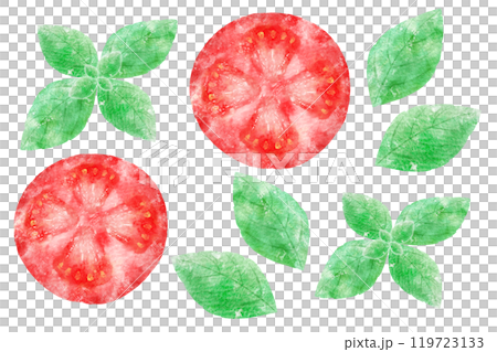 トマトとバジル 119723133