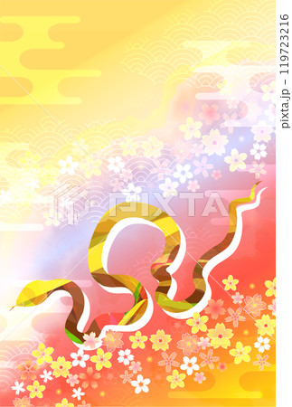 巳 年賀状 干支 背景 巳 年賀状 干支 背景 119723216