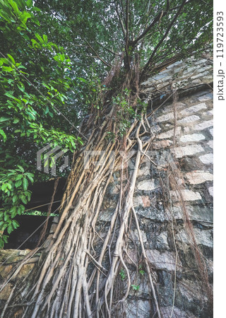 Oct 27 2024 Cha Kwo Ling Village, Last Remaining Coastal Village Oct 27 2024 Cha Kwo Ling Village, Last Remaining Coastal Village 119723593