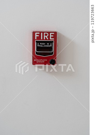 海外のかわいい火災報知器のボタン 119723663