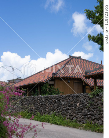 赤瓦のある沖縄の集落 119723955