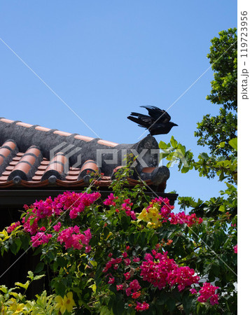 屋根の上のカラス 119723956