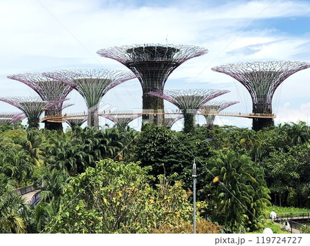 ガーデンズ・バイ・ザ・ベイのスーパーツリー・グローブ 119724727