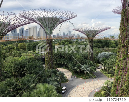 OCBCスカイウェイからの眺望 OCBCスカイウェイからの眺望 119724729