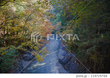 紅葉に染まる奥秋川の渓谷 東京 紅葉に染まる奥秋川の渓谷 東京 119724788