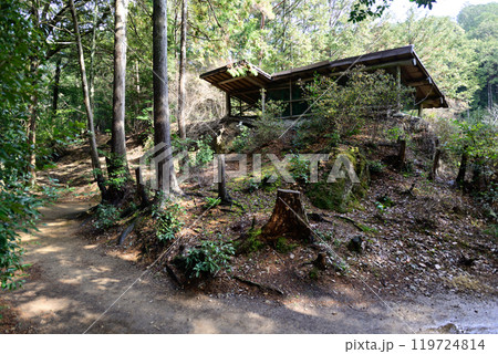 日向大神宮　天の岩戸（ぬけ参り） 119724814