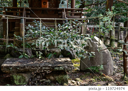 日向大神宮 別宮 福土神社 日向大神宮 別宮 福土神社 119724974