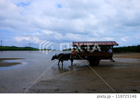 由布島水牛車 由布島水牛車 119725148