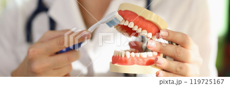 Doctor holds jaw in hand showing process of brushing teeth Doctor holds jaw in hand showing process of brushing teeth 119725167
