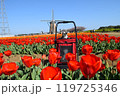 チューリップと猫 119725346