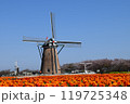 風車と青空とチューリップ 119725348
