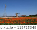 風車とチューリップ畑 119725349