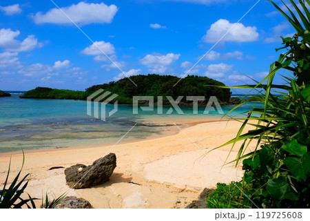 西表島 星砂の浜 西表島 星砂の浜 119725608