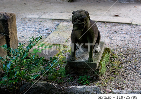 古いこま犬A 119725799