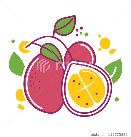Colorful Fresh Tropical Fruits of Mangosteen Healthy Food 119725822