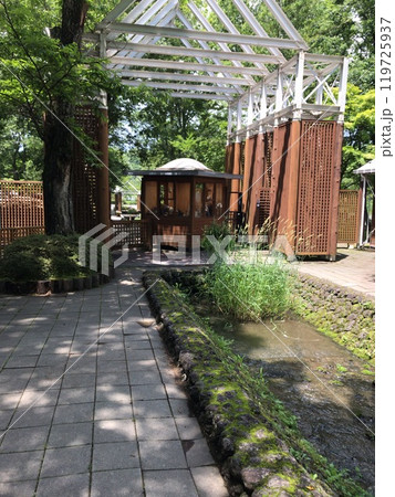 軽井沢 タリアセンの景色 軽井沢 タリアセンの景色 119725937