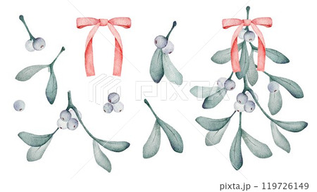 Mistletoe watercolor painting clip art elements collection with red ribbon and bouquet arrangement 119726149
