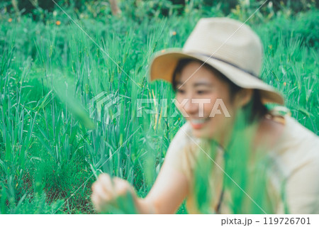 麦を摘む 119726701