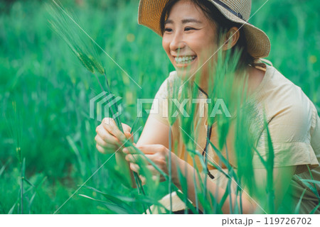 麦を摘む 119726702