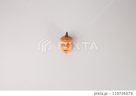 an acorn with a brown cap and a light brown body against a solid light grey background. The acorn is centered, Just a pure, natural little moment. step in creative process an acorn with a brown cap and a light brown body against a solid light grey background. The acorn is centered, Just a pure, natural little moment. step in creative process 119726879