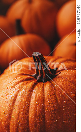 Pumpkins for sale at a Pumpkin Patch. Halloween and Autumn Pumpkins piled upon each other for sale at a farmers market. 119727140