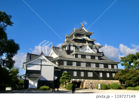 岡山城・天守閣（岡山県・岡山市） 119727149