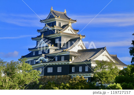 岡山城・天守閣(岡山県・岡山市) 岡山城・天守閣(岡山県・岡山市) 119727157